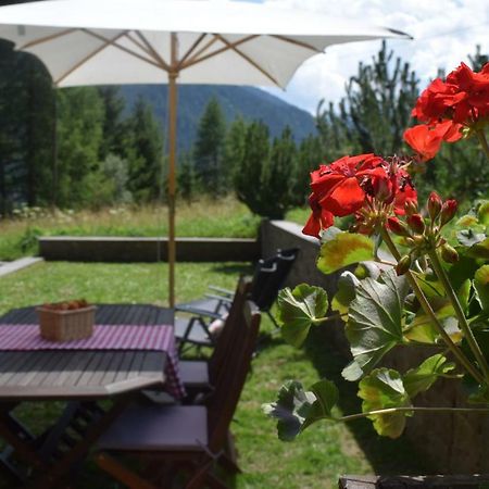 Chalet Do Costa Pozza di Fassa Εξωτερικό φωτογραφία